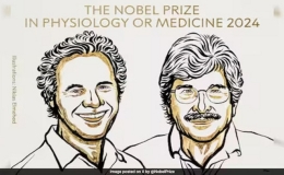 Giải Nobel Y sinh 2024 vinh danh 2 nh&agrave; khoa học người Mỹ Victor Ambros v&agrave; Gary Ruvkun