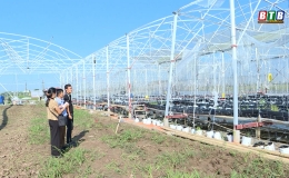 Kiến Xương: C&aacute;c m&ocirc; h&igrave;nh n&ocirc;ng nghiệp c&ocirc;ng nghệ cao kh&ocirc;i phục sản xuất