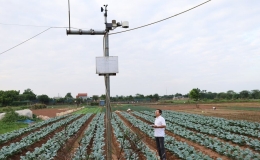 Một số giải ph&aacute;p th&uacute;c đẩy CNH, HĐH n&ocirc;ng nghiệp, n&ocirc;ng th&ocirc;n ở huyện Chương Mỹ, Th&agrave;nh phố H&agrave; Nội