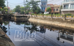 Th&agrave;nh phố: Trả lại sự trong l&agrave;nh cho c&aacute;c d&ograve;ng s&ocirc;ng 