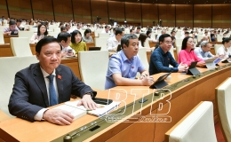 Quốc hội thảo luận về dự &aacute;n Luật Dược v&agrave; Luật Dữ liệu