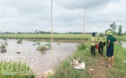 Xử l&yacute; c&aacute;c h&agrave;nh vi săn bắt chim hoang d&atilde;, chim di cư