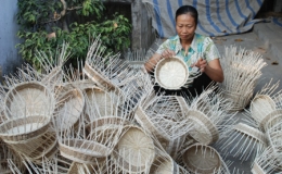 Hiệu quả của một cuộc vận động