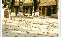 M&aacute;i trường mến y&ecirc;u!