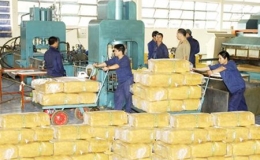 Trung Quốc đứng đầu về nhập gạo v&agrave; cao su của Việt Nam