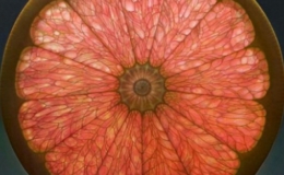 Nghệ thuật vẽ tranh hoa quả "cắt l&aacute;t" y hệt ảnh chụp