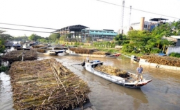 Đường tồn kho tăng trở lại