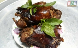 Săn chuột đồng m&ugrave;a gặt