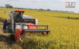 Đ&ocirc;ng Hưng phấn đấu hết năm 2018 c&oacute; 37 x&atilde; đạt chuẩn n&ocirc;ng th&ocirc;n mới