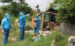 C&uacute;m A/H5N6 độc lực rất mạnh xuất hiện ở Ph&uacute; Y&ecirc;n