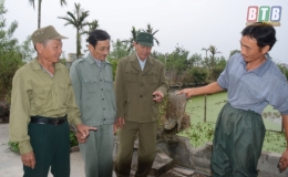 Cựu chiến binh to&agrave;n tỉnh t&iacute;ch cực tham gia x&acirc;y dựng n&ocirc;ng th&ocirc;n mới 