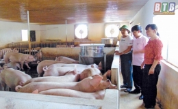 Đồng vốn nghĩa t&igrave;nh (Kỳ 3)