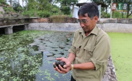  Nu&ocirc;i ốc l&agrave;m gi&agrave;u