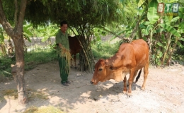 Giảm ngh&egrave;o bền vững nhờ nguồn huy động x&atilde; hội h&oacute;a