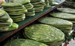 C&acirc;y xương rồng - m&oacute;n ngon ở Quảng Nam