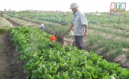 Tạo sự lan tỏa về bảo vệ m&ocirc;i trường trong sản xuất n&ocirc;ng nghiệp