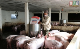 G&oacute;p phần th&uacute;c đẩy chăn nu&ocirc;i bền vững