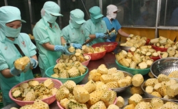 Việt Nam đứng thứ 15 thế giới về kim ngạch xuất khẩu n&ocirc;ng sản