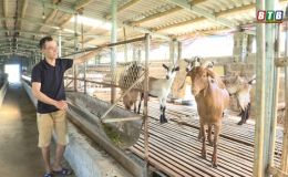 Khởi nghiệp th&agrave;nh c&ocirc;ng từ nu&ocirc;i d&ecirc; lấy sữa