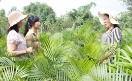 Tổ hợp t&aacute;c &ndash; M&ocirc; h&igrave;nh gi&uacute;p phụ nữ l&agrave;m gi&agrave;u