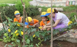 Sở Gi&aacute;o dục v&agrave; Đ&agrave;o tạo đề xuất sửa đổi, bổ sung 4 nội dung trong việc quy định c&aacute;c khoản thu, mức thu v&agrave; quản l&yacute;, sử dụng trong c&aacute;c cơ sở gi&aacute;o dục c&ocirc;ng lập