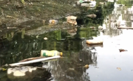 &Ocirc; nhiễm k&ecirc;nh Bắc Hưng Hải ảnh hưởng đến cuộc sống của h&agrave;ng ngh&igrave;n hộ d&acirc;n