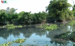 Bị xử phạt v&igrave; xả thải g&acirc;y &ocirc; nhiễm nước s&ocirc;ng, vẫn t&aacute;i phạm