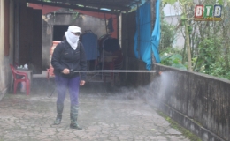  Bệnh dịch tả lợn ch&acirc;u Phi giảm mạnh tại c&aacute;c địa phương