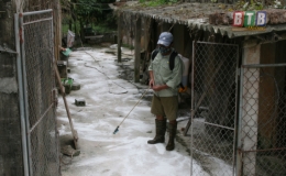 C&ocirc;ng bố hết dịch bệnh dịch tả lợn ch&acirc;u Phi tr&ecirc;n địa b&agrave;n huyện Kiến Xương