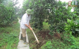 Hưng H&agrave;: Hội CCB x&acirc;y dựng 6 nh&agrave; t&igrave;nh nghĩa