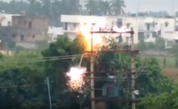 Đ&agrave;n voi h&uacute;t chết sau khi l&agrave;m nổ m&aacute;y biến &aacute;p