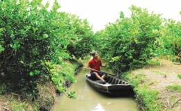 Cần Thơ: Củng cố, ph&aacute;t triển thủy lợi gắn với n&acirc;ng chất n&ocirc;ng th&ocirc;n mới