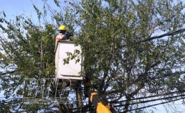 Điện lực th&agrave;nh phố Th&aacute;i B&igrave;nh tổ chức ph&aacute;t quang h&agrave;nh lang lưới điện