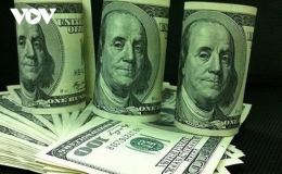 Gi&aacute; USD &iacute;t biến động trong phi&ecirc;n giao dịch đầu tuần 16/11