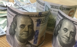 Gi&aacute; USD lao dốc trước diễn biến kịch t&iacute;nh của bầu cử Mỹ