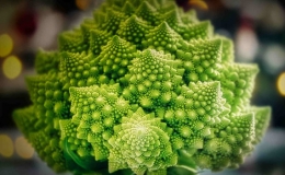 Loại rau c&oacute; h&igrave;nh th&ugrave; kỳ lạ