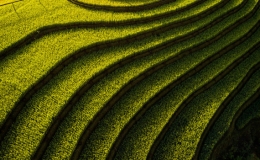 M&ugrave; Cang Chải v&agrave;o top 50 điểm đẹp nhất năm 2020