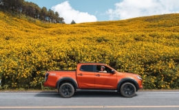 Ngọn đồi phủ k&iacute;n hoa d&atilde; quỳ ở Th&aacute;i Lan