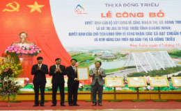 Thị x&atilde; Đ&ocirc;ng Triều l&ecirc;n đ&ocirc; thị loại III