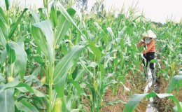 &ldquo;Say&rdquo; vụ đ&ocirc;ng