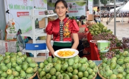 Sơn La: Y&ecirc;n Ch&acirc;u đẩy mạnh phong tr&agrave;o thi đua x&acirc;y dựng n&ocirc;ng th&ocirc;n mới