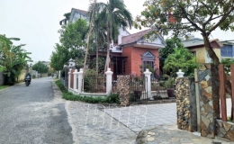 Thanh T&acirc;n: Cảnh quan m&ocirc;i trường sạch đẹp