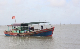 Tiền Hải, Th&aacute;i Thụy: k&ecirc;u gọi t&agrave;u, thuyền tr&aacute;nh tr&uacute; cơn b&atilde;o số 13