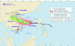 Tin b&atilde;o khẩn cấp (Cơn b&atilde;o số 13)