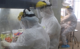 T&igrave;nh h&igrave;nh dịch Covid-19 đến ng&agrave;y 4/11