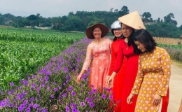 Vĩnh Ph&uacute;c l&agrave; một trong 9 tỉnh đầu ti&ecirc;n trong cả nước c&oacute; 100% x&atilde; đạt chuẩn n&ocirc;ng th&ocirc;n mới