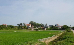 Bắc Giang: Huyện Việt Y&ecirc;n th&ecirc;m 2 x&atilde; được c&ocirc;ng nhận n&ocirc;ng th&ocirc;n mới n&acirc;ng cao