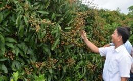 Cần Thơ: Sức bật x&atilde; n&ocirc;ng th&ocirc;n mới n&acirc;ng cao Nhơn Nghĩa