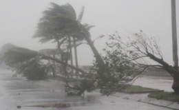 Dự b&aacute;o diễn biến b&atilde;o, &aacute;p thấp nhiệt đới từ nay đến hết năm 2021