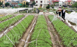 Kỳ 1: Ph&aacute;t huy cao độ những kết quả đạt được